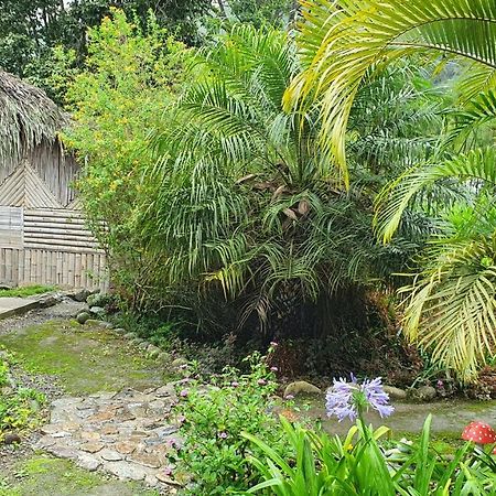 Cabañas Samay Mágico Huigra Exterior foto